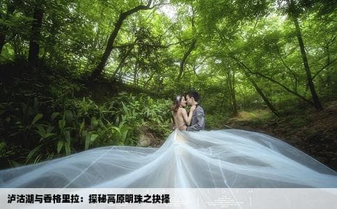 泸沽湖与香格里拉：探秘高原明珠之抉择