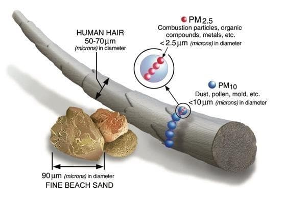 小颗粒，大影响：PM2.5和PM10的健康风险