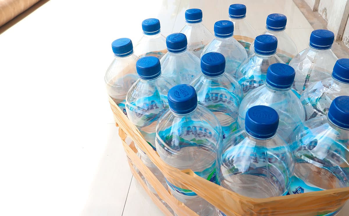塑料瓶的惊人工艺品：详细的想法