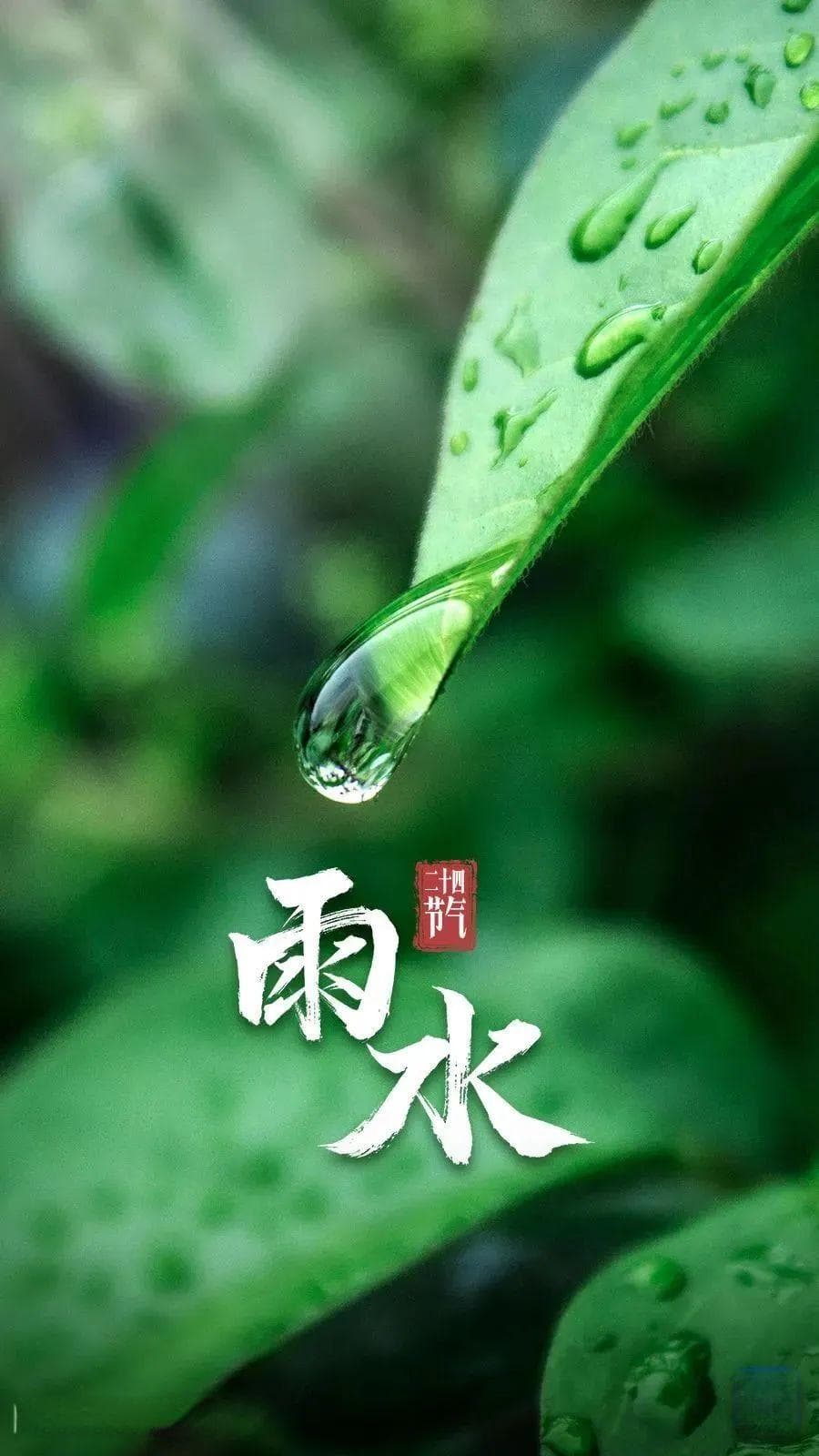 雨水时节养生指南：如何保持元气满满？