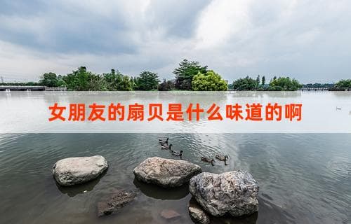 女朋友的扇贝是什么味道的啊？美食背后的情感故事