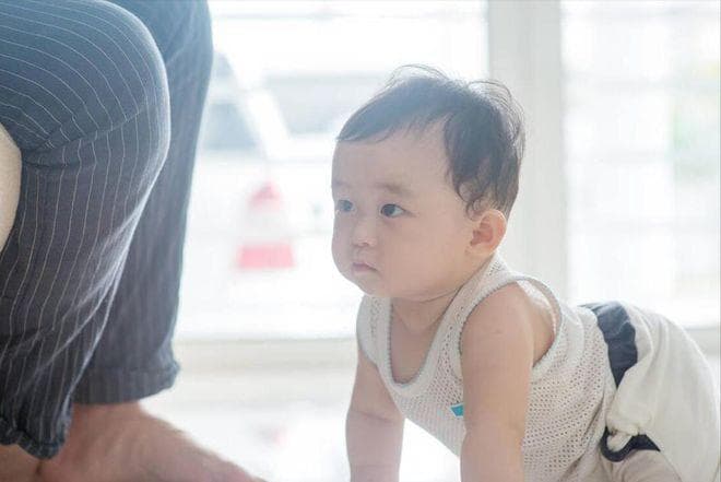 婴儿多大会走路？不同月龄能力不同，学步期这六点新手爸妈注意