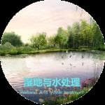 人工湿地中如何有针对性选择水生植物来应对水中不同的污染物