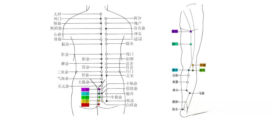 【足太阳膀胱经】一篇文章给你讲清楚67穴