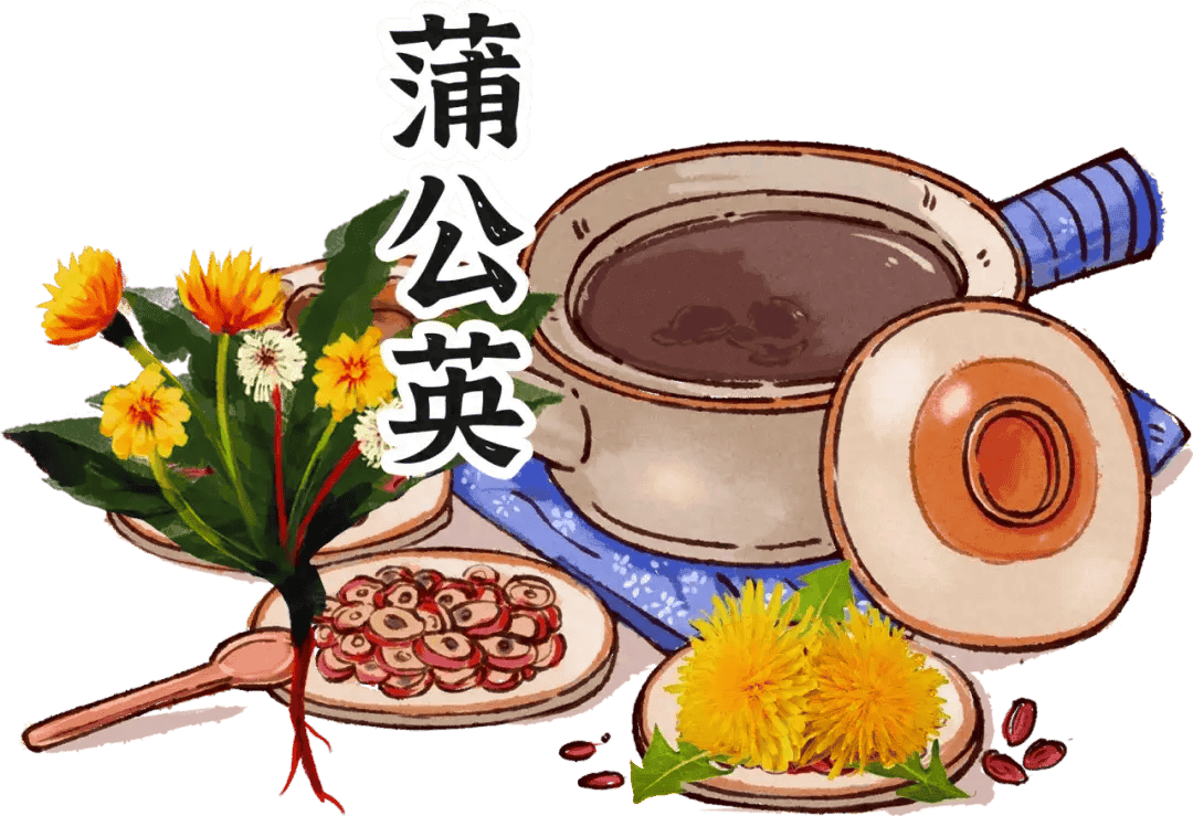 《本草纲目》故事：蒲公英消痈散结