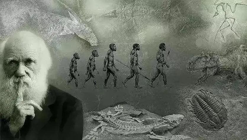 深层解读进化论，请停止对进化论的诬陷！