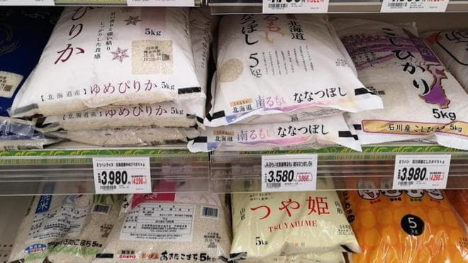 日本大米价格暴涨至每斤24元，背后原因令人深思