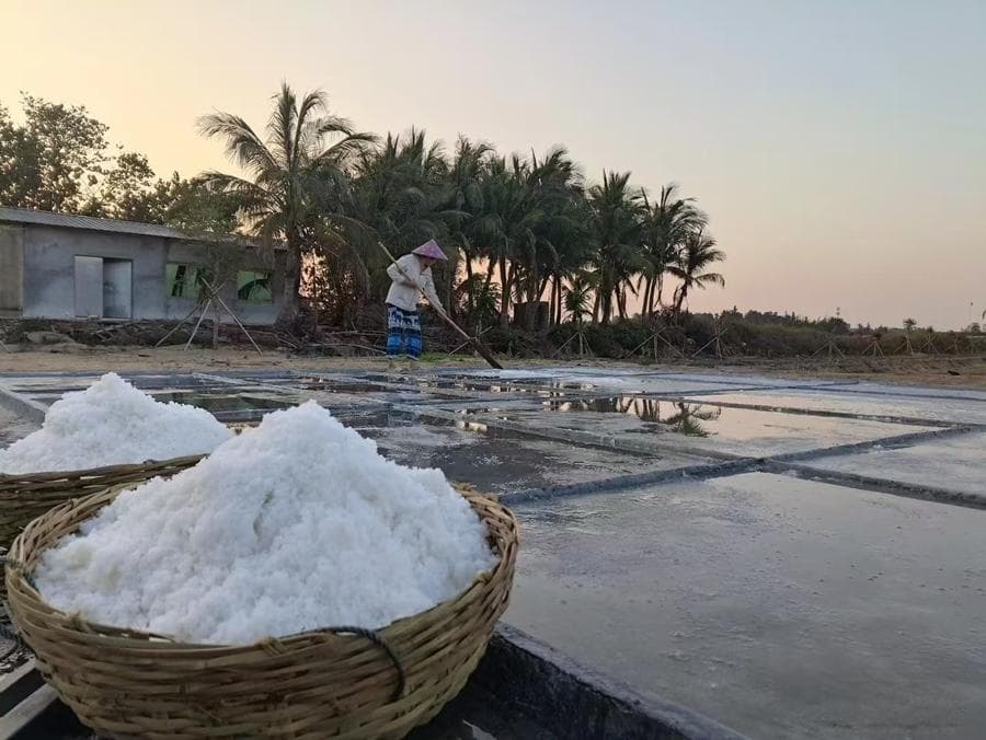 海南大力推动海洋生态保护修复 探索生态与经济效益共赢之路