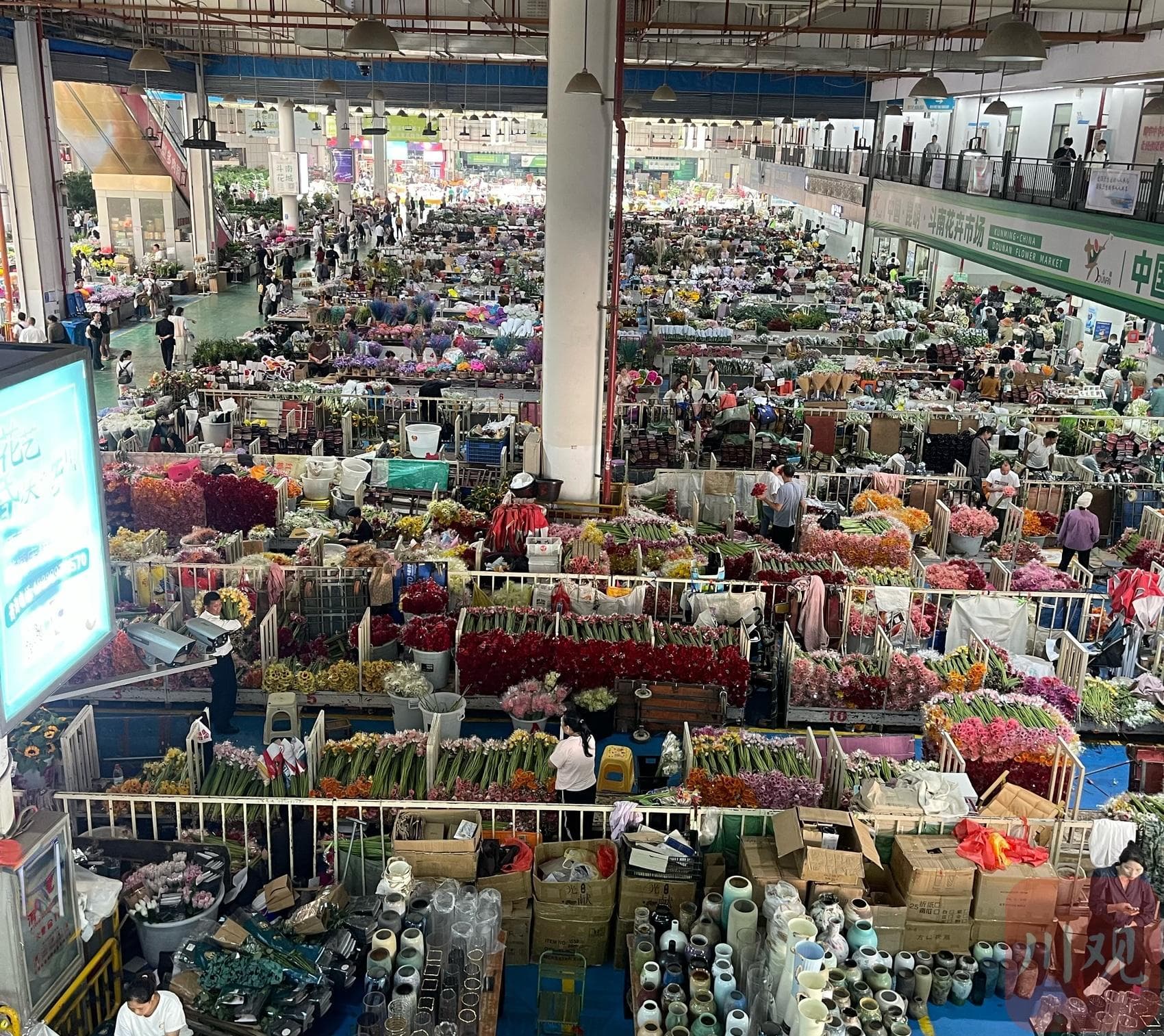 走进云南斗南花市，看一个市场如何带活一个产业