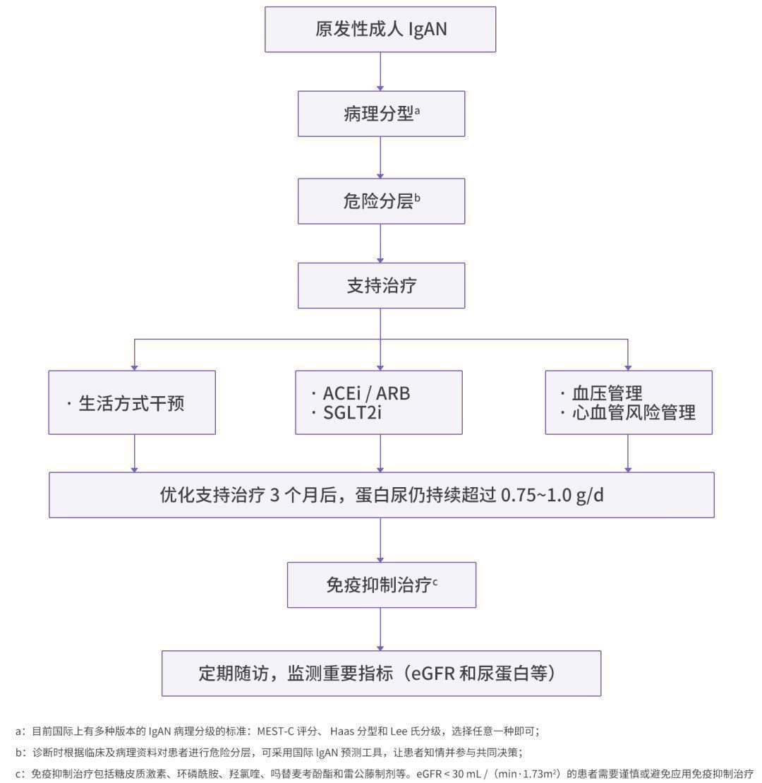 最新中国专家共识发布！详解 IgA 肾病治疗格局变化