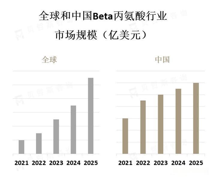 Beta丙氨酸主要应用于运动营养补剂领域