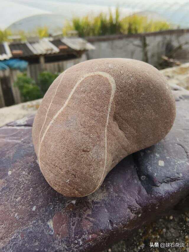 什么样的石头算奇石