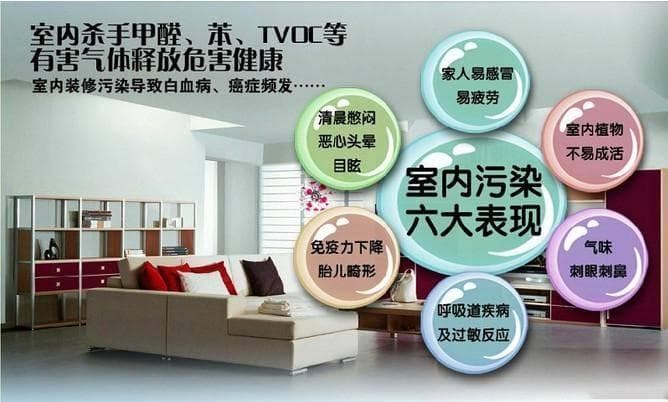 办公室空气污染竟让你咳黄痰？这些改善方法请收好