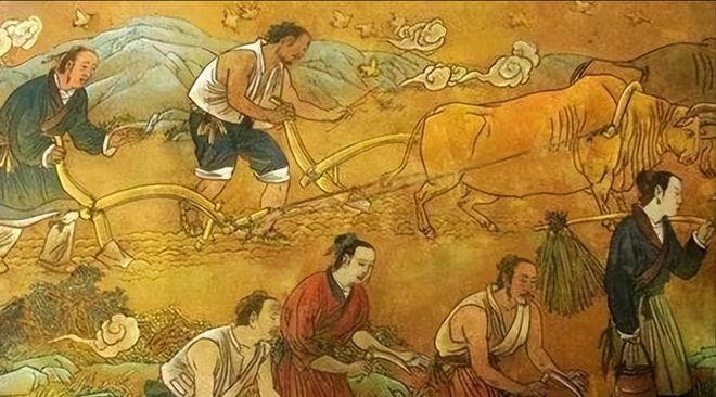 红薯在中国的发展之旅“红薯与紫芽，远插墙四周”，冬日草根美食