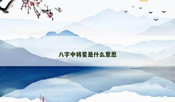 八字中将星是什么意思
