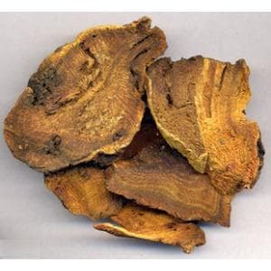 土大黄：一种传统中药材的全面解析