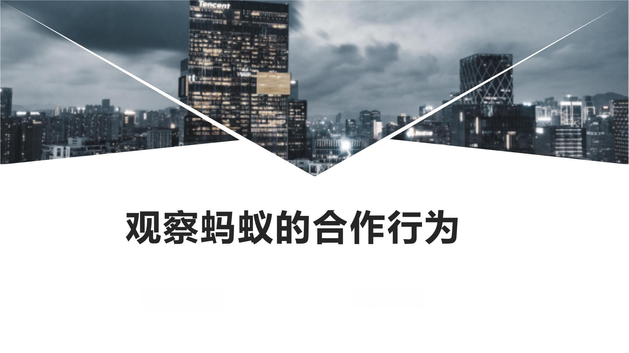 观察蚂蚁的合作行为