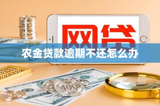 农金贷款逾期不还怎么办
