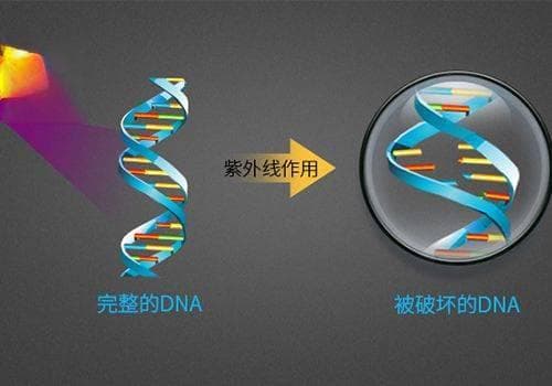 饲养金鱼有必要配个UV杀菌灯嘛？