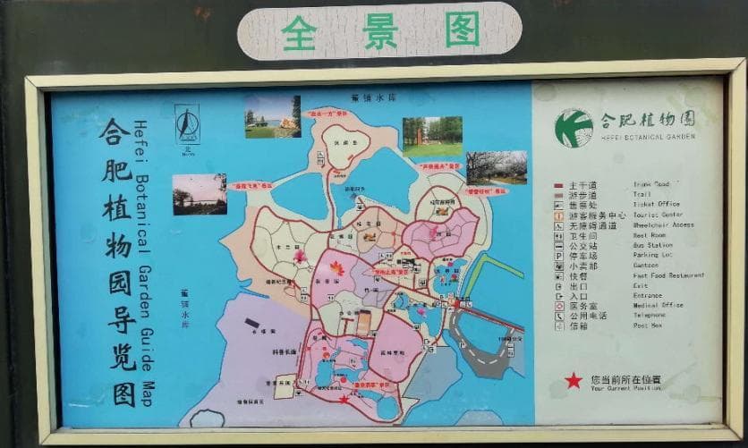 合肥植物园：4A景区，3000余种植物，交通便利