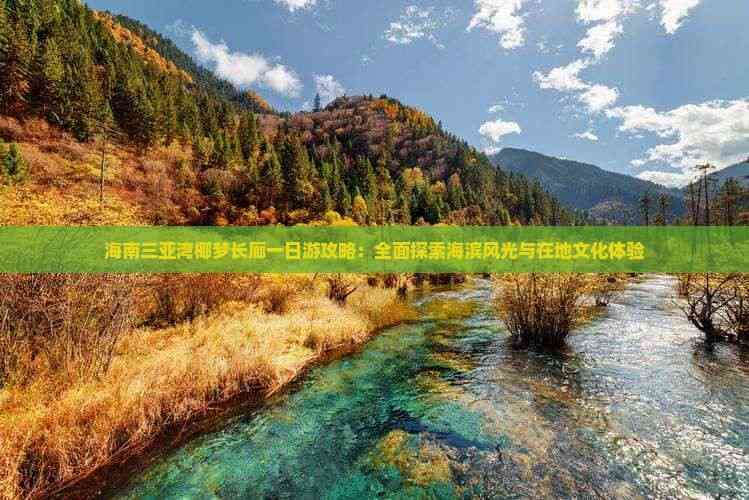 海南三亚湾椰梦长廊一日游攻略：全面探索海滨风光与在地文化体验