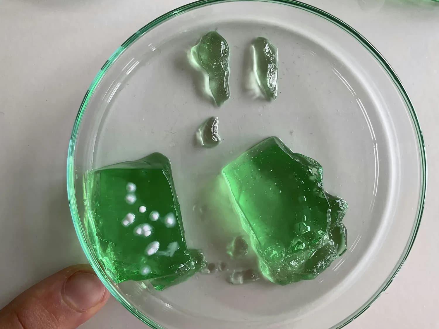 环保新宠：用淀粉和明胶做超萌起泡胶