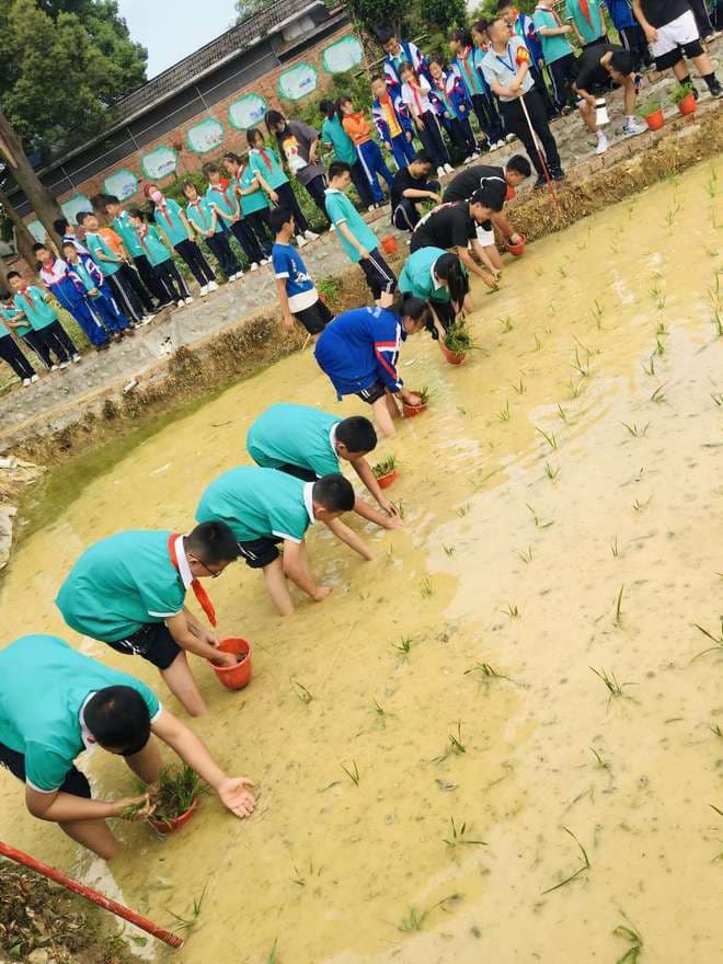 成都：探索优质教育资源均衡发展新路径 推动全域义务教育优质共享