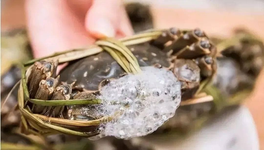 螃蟹死后2小时、5小时、24小时的食用风险有多高？