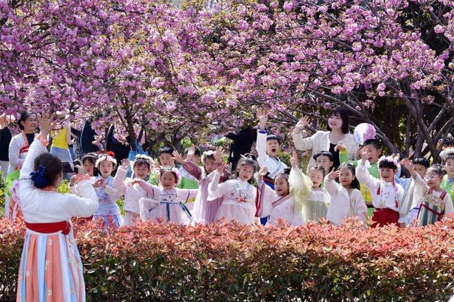 鹤壁樱花季探索传统文化赋能春日文旅新模式
