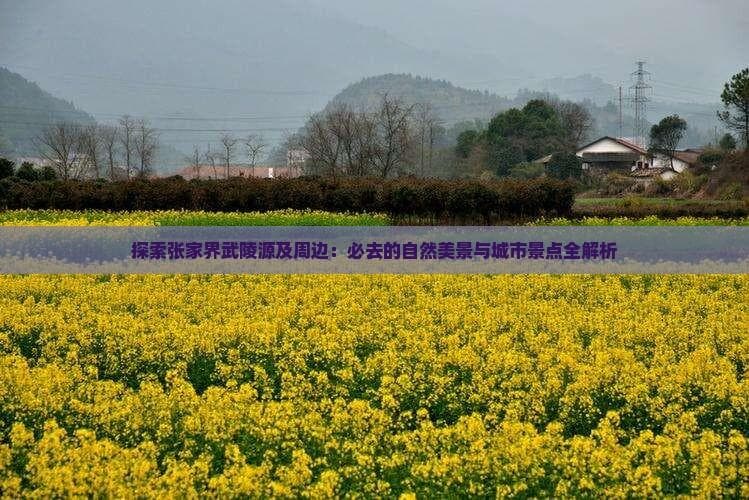 张家界武陵源旅游攻略：必去景点全解析