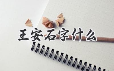 王安石字什么？带你了解这位北宋名臣的生平与成就
