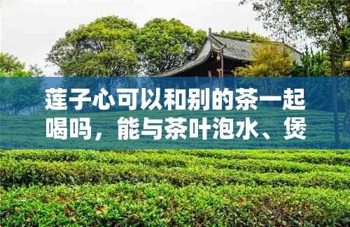莲子心可以和别的茶一起喝吗？泡水、煲汤及食材搭配全攻略