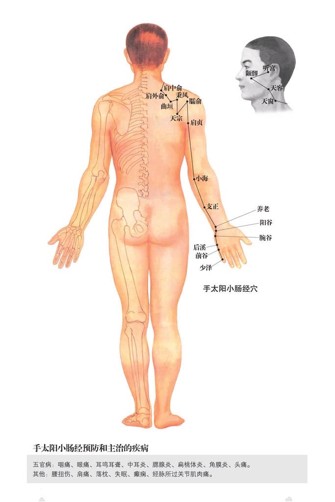 手太阳小肠经穴位图：位置、作用与主治功效详解