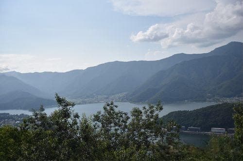 从意外收获看个人成长路径
