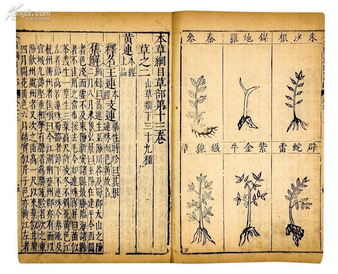 本草纲目全文研究：古代医药学的璀璨瑰宝