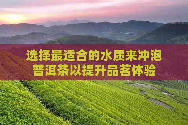 选择最适合的水质来冲泡普洱茶以提升品茗体验