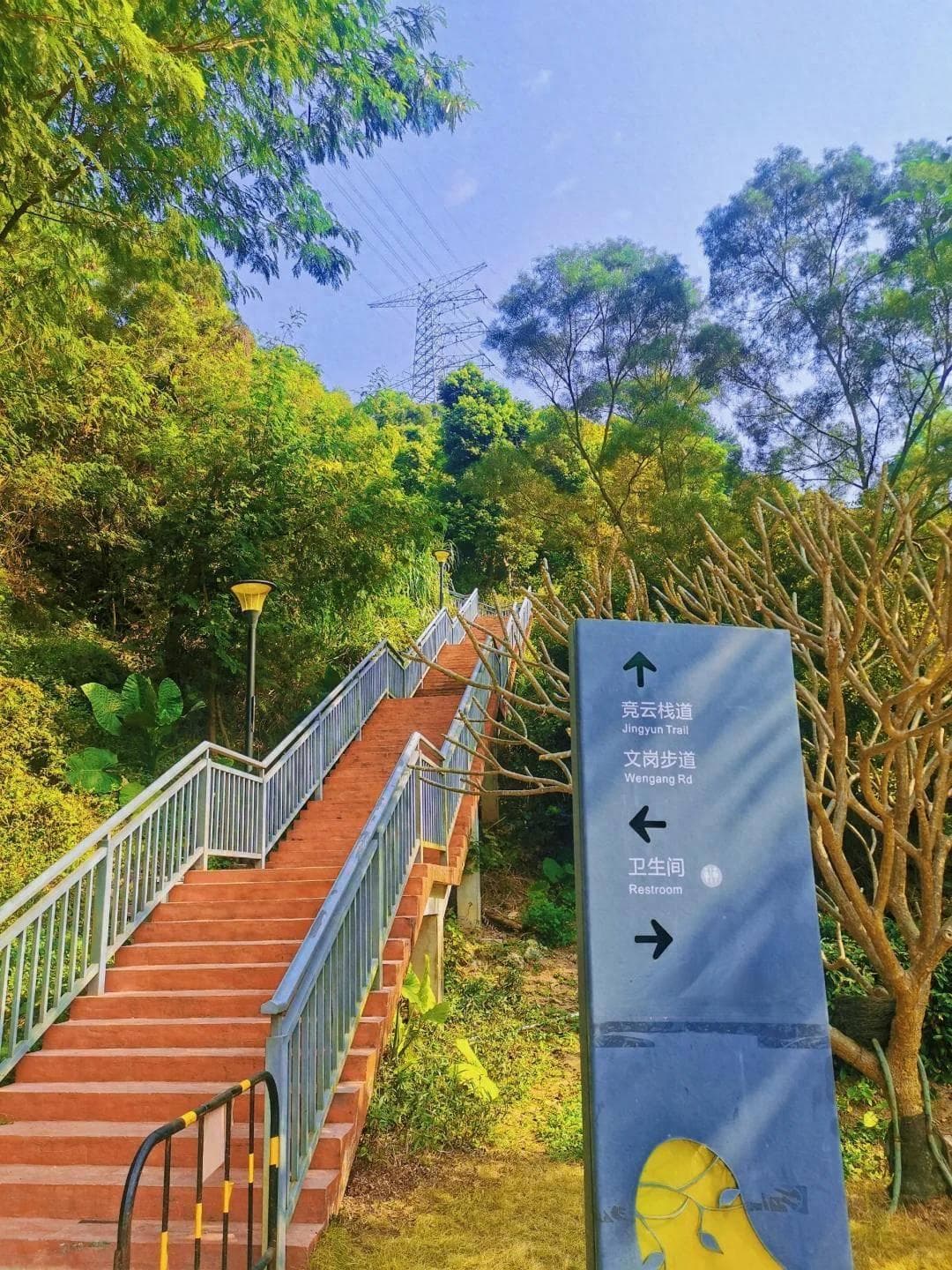 深圳新晋小众景点｜误入宫崎骏动画的夏天，超美的尖岗山公园