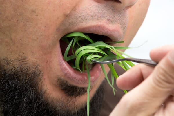蒜苔的功效与作用