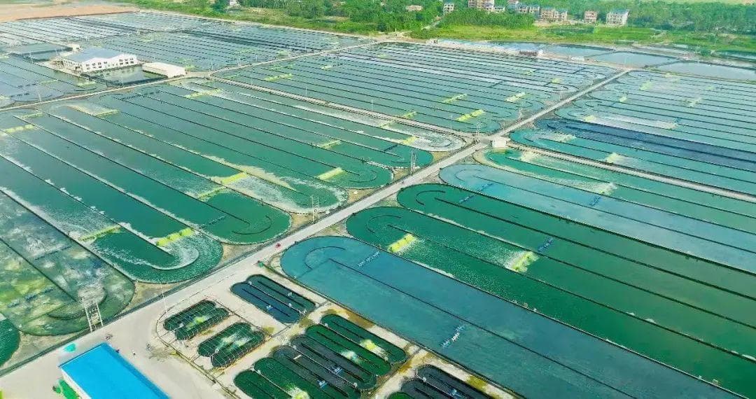 销售额超30亿！新食品原料如何影响银发心血管健康市场？