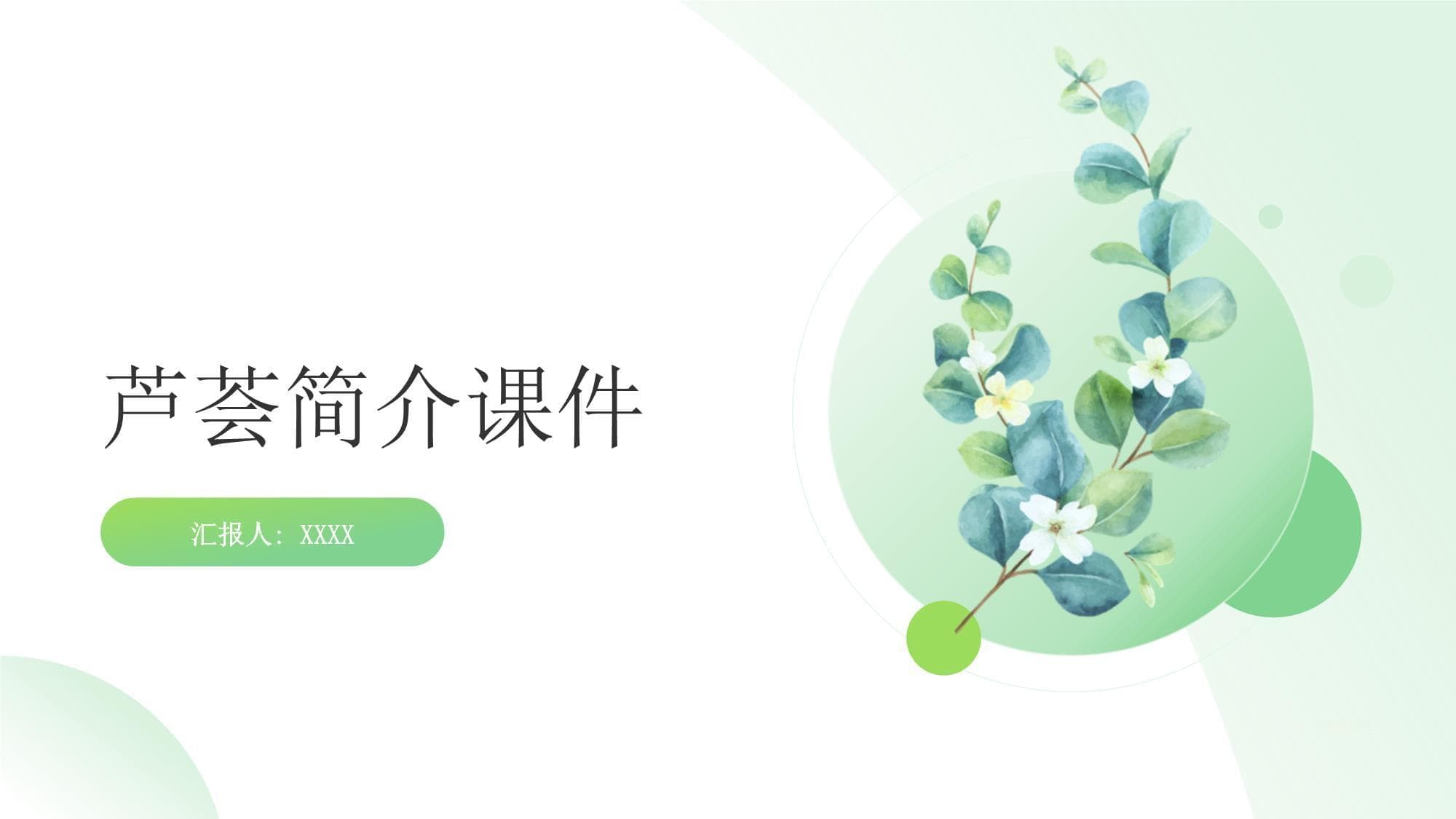 芦荟简介：从定义到种植护理的全面指南