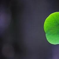 汉语句子成分分析
