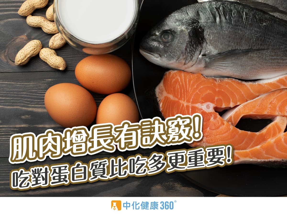 肌肉增长有诀窍！吃对蛋白比吃多更重要！