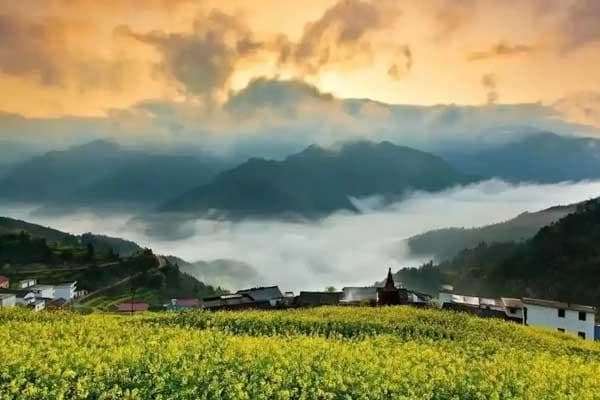 衢州看油菜花哪里好