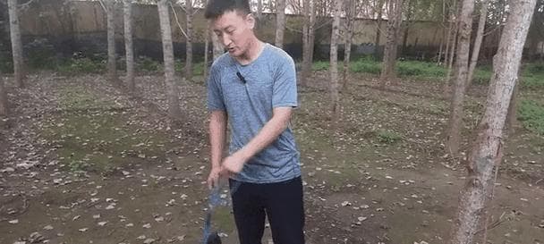 买狗前的准备工作：15个关键步骤让你与新家庭成员更好地相处