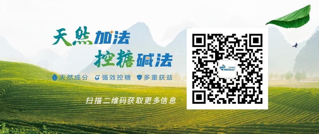 桑枝总生物碱获该“共识”血糖管理和微血管疾病中成药物治疗双推荐