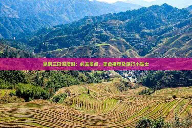 昆明三日深度游：必去景点、美食推荐及旅行小贴士