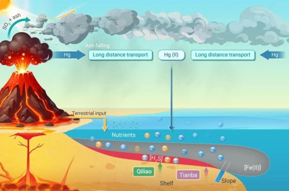 汞同位素揭示火山活动与奥陶纪末环境气候变化及生物大灭绝的潜在联系