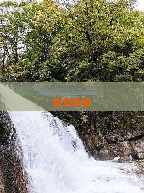 东营至重庆自驾游：穿越平原山城，五天行程全攻略