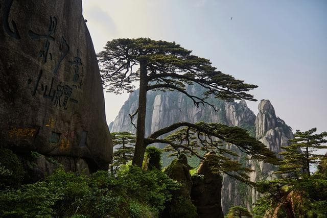黄山最佳旅游时间：四季美景各具特色