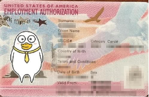 美国合法生活 “入场券”：聚焦绿卡、EAD 工卡、SSN 和驾照